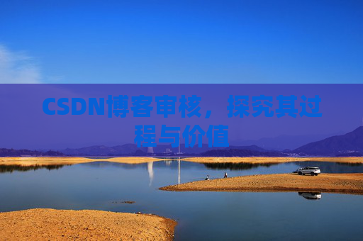 CSDN博客审核,探究其过程与价值